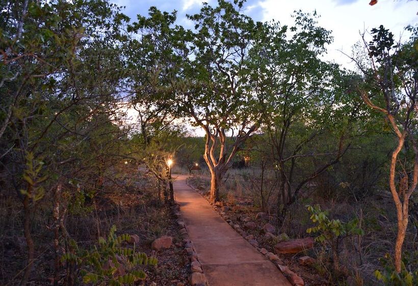 ホテル Zwahili Game Lodge & Spa