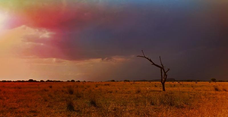 ホテル Zwahili Game Lodge & Spa