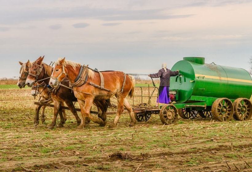 فندق على الطريق Harvest Drive Family Inn  Renovated Rooms