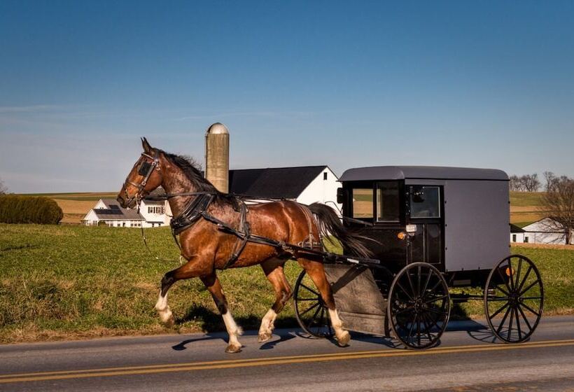 فندق على الطريق Harvest Drive Family Inn  Renovated Rooms