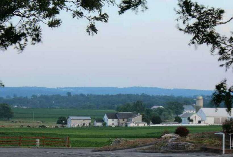 فندق على الطريق Harvest Drive Family Inn  Renovated Rooms