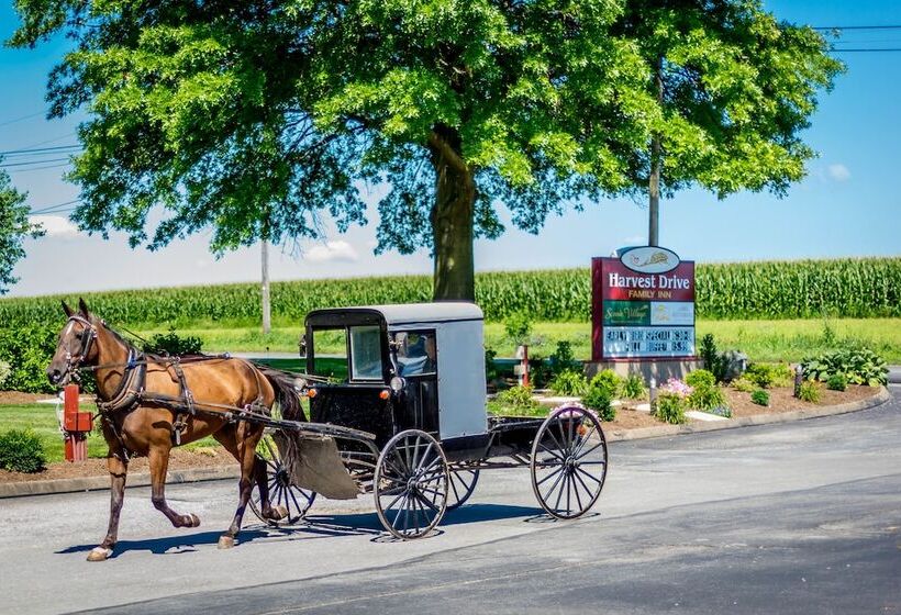 فندق على الطريق Harvest Drive Family Inn  Renovated Rooms