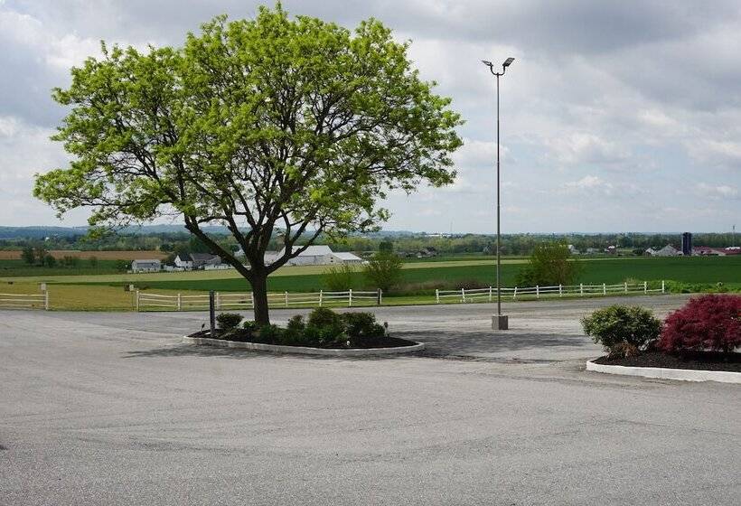 فندق على الطريق Harvest Drive Family Inn  Renovated Rooms