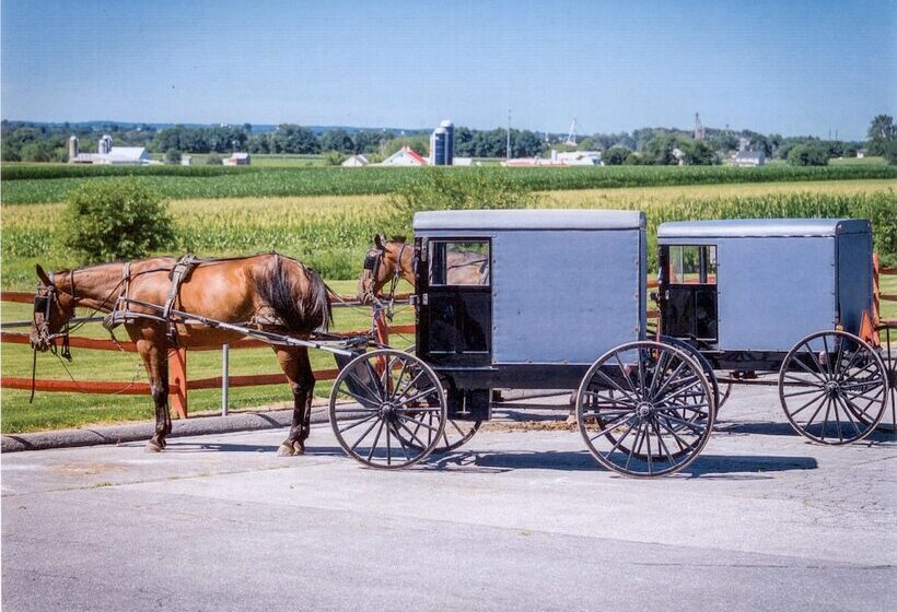 فندق على الطريق Harvest Drive Family Inn  Renovated Rooms