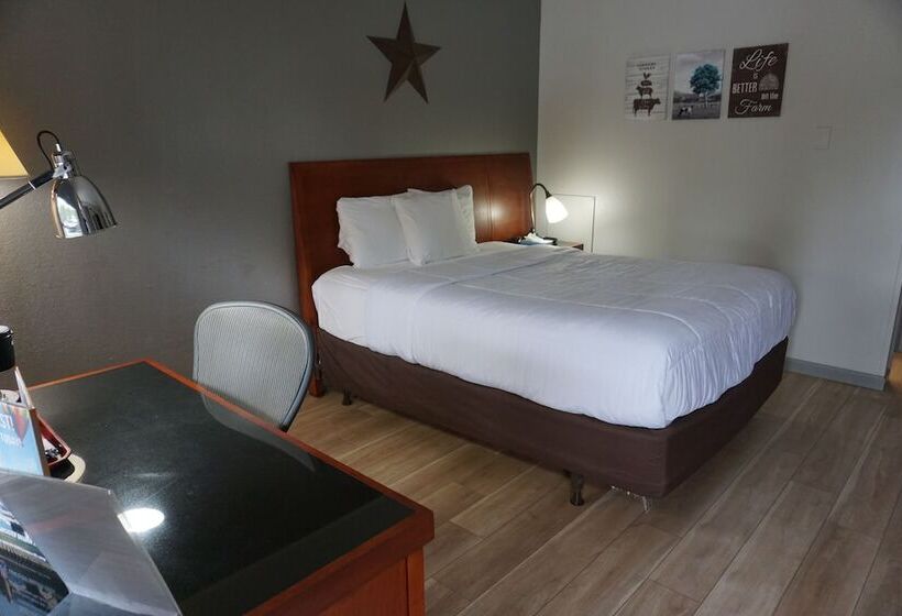 فندق على الطريق Harvest Drive Family Inn  Renovated Rooms