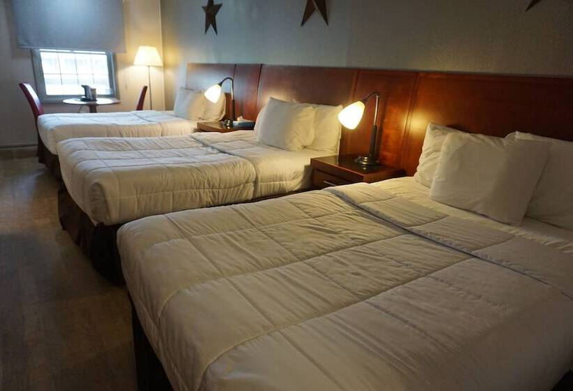 فندق على الطريق Harvest Drive Family Inn  Renovated Rooms