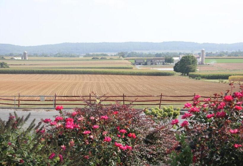 فندق على الطريق Harvest Drive Family Inn  Renovated Rooms