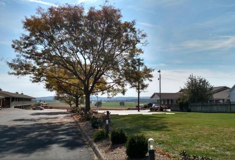 فندق على الطريق Harvest Drive Family Inn  Renovated Rooms