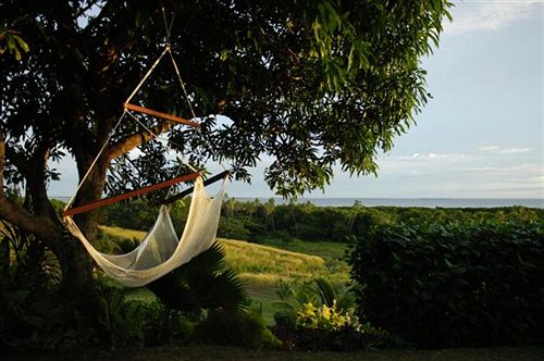 Palmlea Farms Lodge And Bures Villas