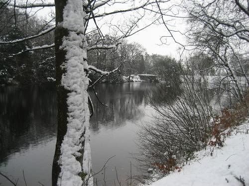 بنسيون Brookhouse Guest House