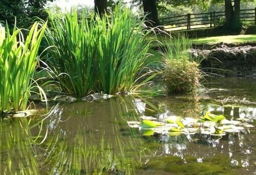 بنسيون Hedgefield House