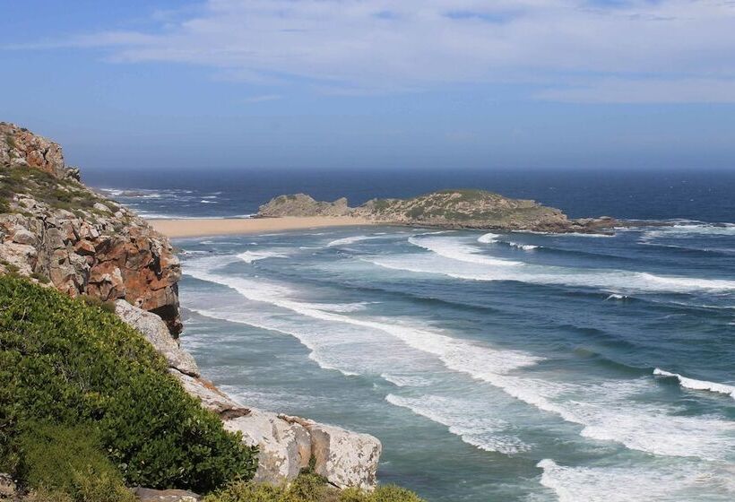 پانسیون The Robberg Beach Lodge   Lion Roars Hotels & Lodges