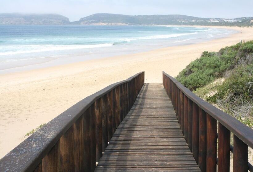 پانسیون The Robberg Beach Lodge   Lion Roars Hotels & Lodges