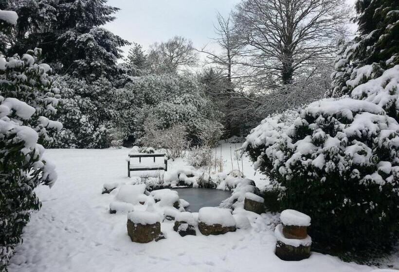 膳宿费 Rosemead Guest House