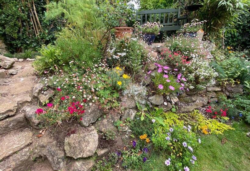 بنسيون St. Georges House