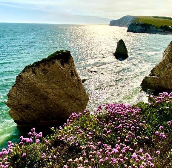 بنسيون St. Georges House