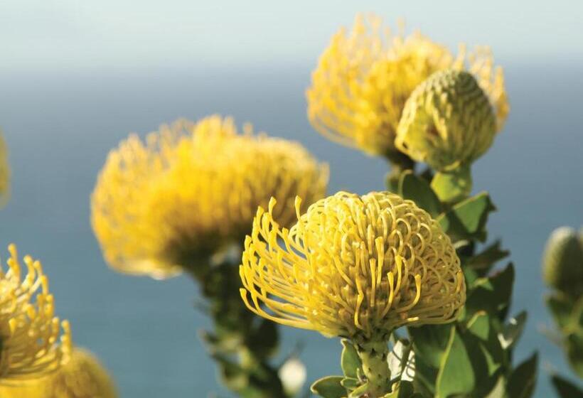 펜션 St James Guesthouses