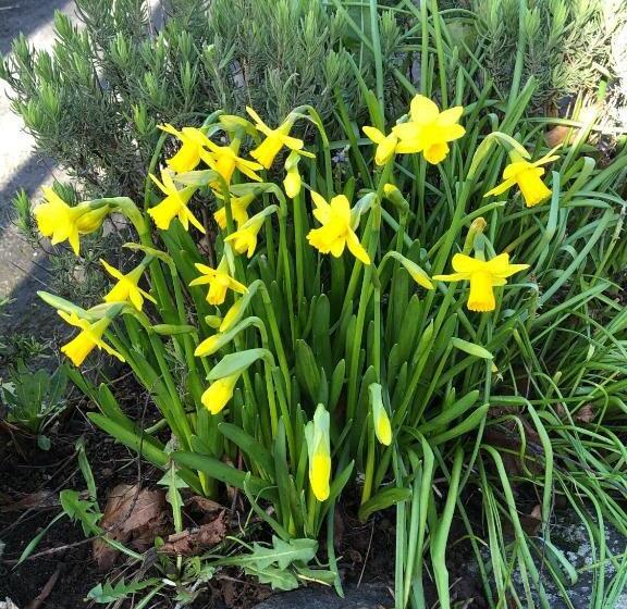 펜션 The Brandize Guest House