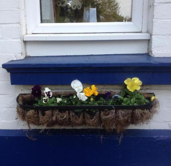 펜션 The Brandize Guest House