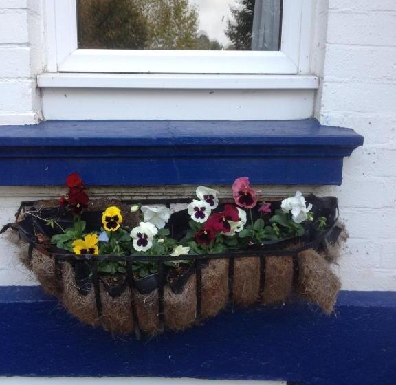 펜션 The Brandize Guest House