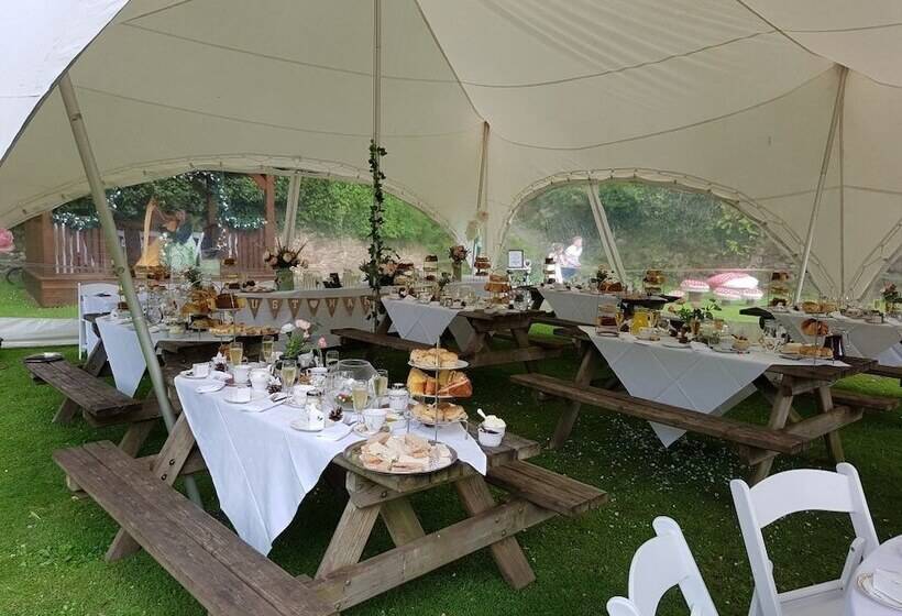 بنسيون The Royal Lodge