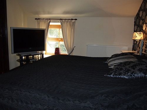 ベッドアンドブレックファースト Pig Of Lead