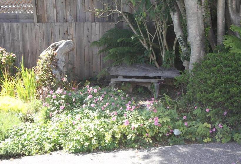 Seagull Inn Bed & Breakfast