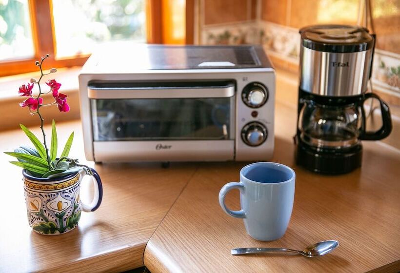 ユースホステル Colibrí Turquesa