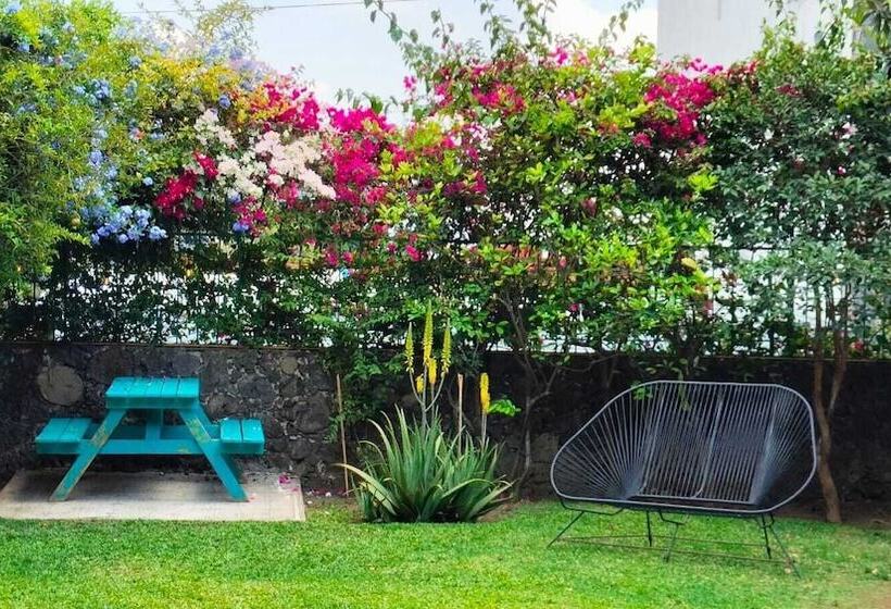 ユースホステル Colibrí Turquesa