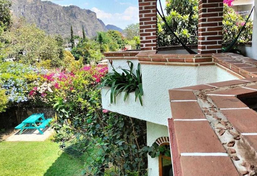 ユースホステル Colibrí Turquesa