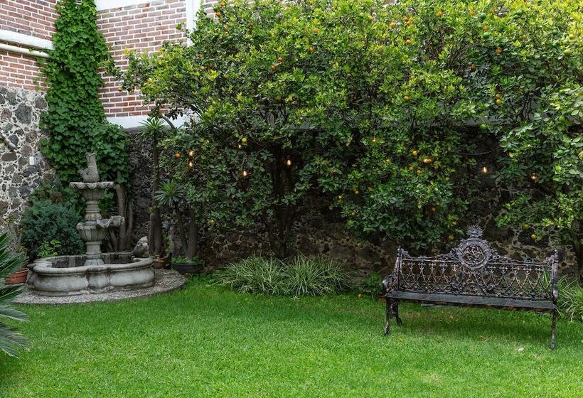 ユースホステル Colibrí Turquesa