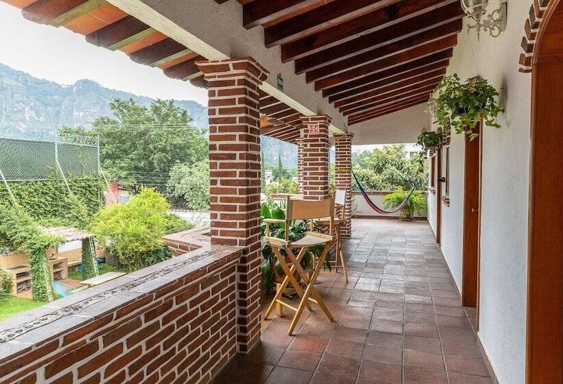 ユースホステル Colibrí Turquesa