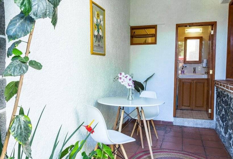 ユースホステル Colibrí Turquesa