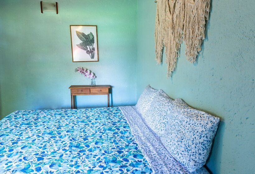 ユースホステル Colibrí Turquesa