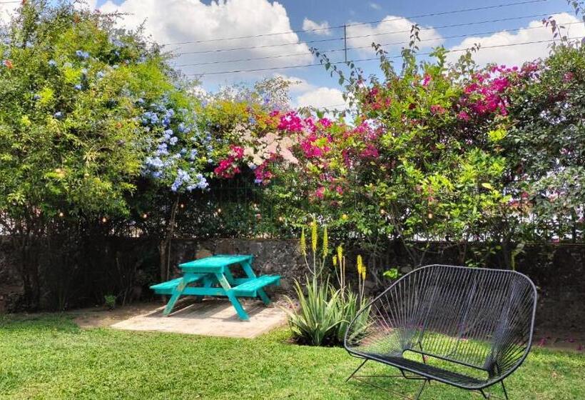 ユースホステル Colibrí Turquesa