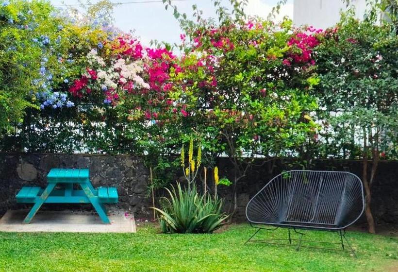 ユースホステル Colibrí Turquesa