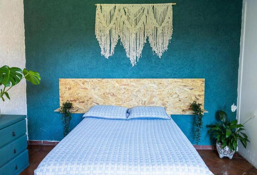 ユースホステル Colibrí Turquesa