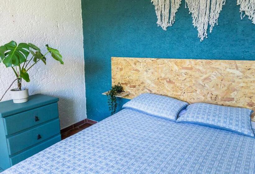 ユースホステル Colibrí Turquesa