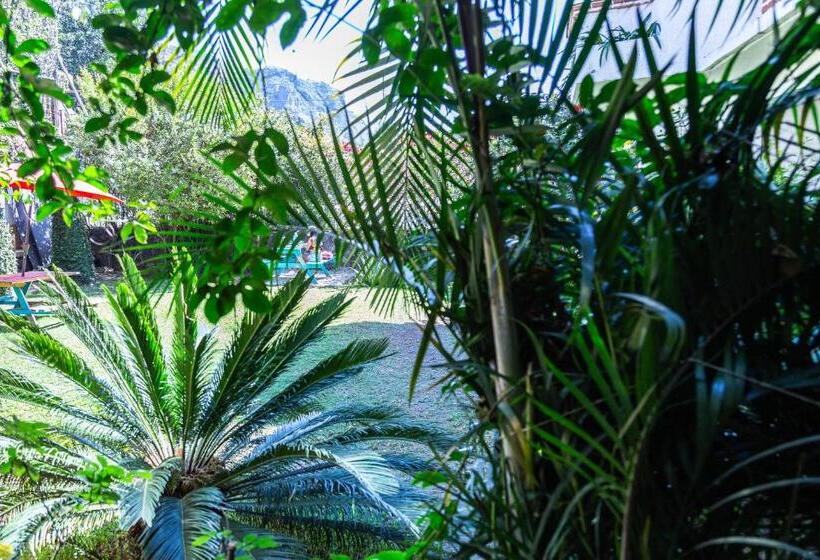 ユースホステル Colibrí Turquesa