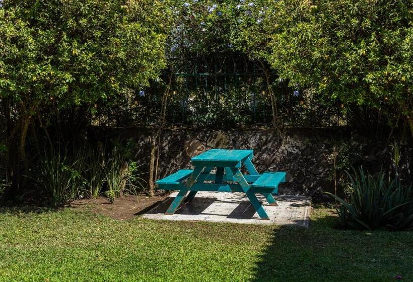 ユースホステル Colibrí Turquesa