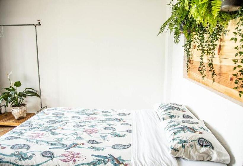 ユースホステル Colibrí Turquesa