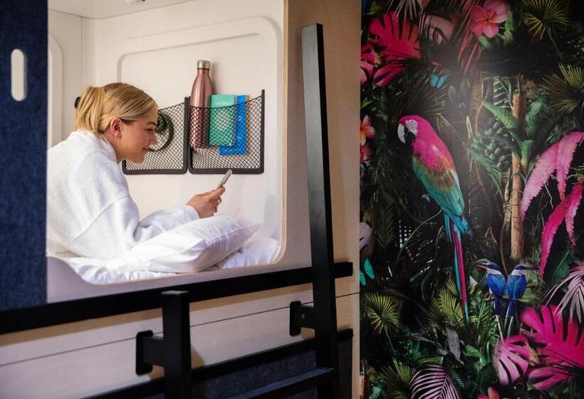 هاستل Lylo Auckland