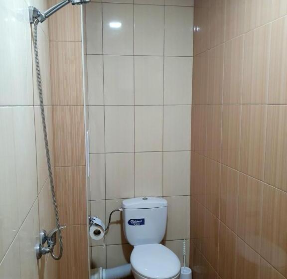 ユースホステル Viriks