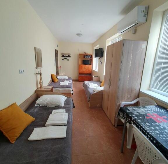 ユースホステル Viriks