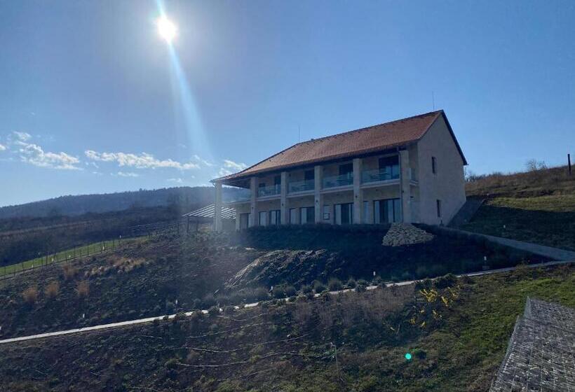 مبيت وإفطار Angyal Villa