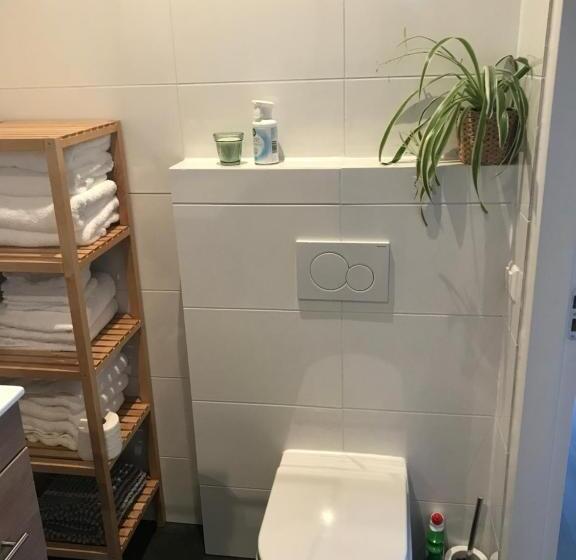 Bed and Breakfast Blossombed