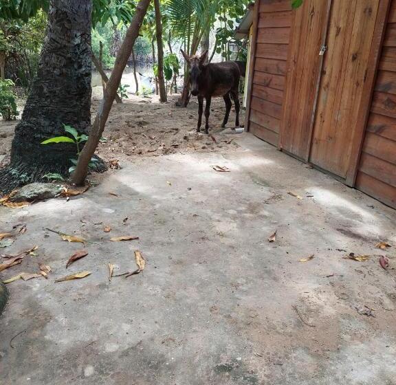 민박 Cabana Playa Cambiaso