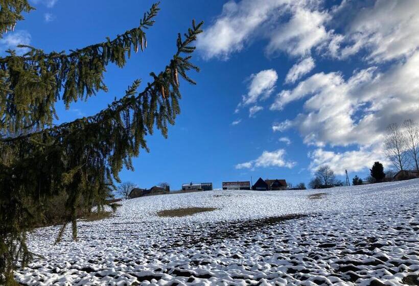 تختخواب و صبحانه Logis125 I Barbara Hofmann