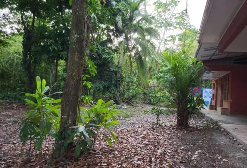 Hostel Manuel Antonio Park Jungle