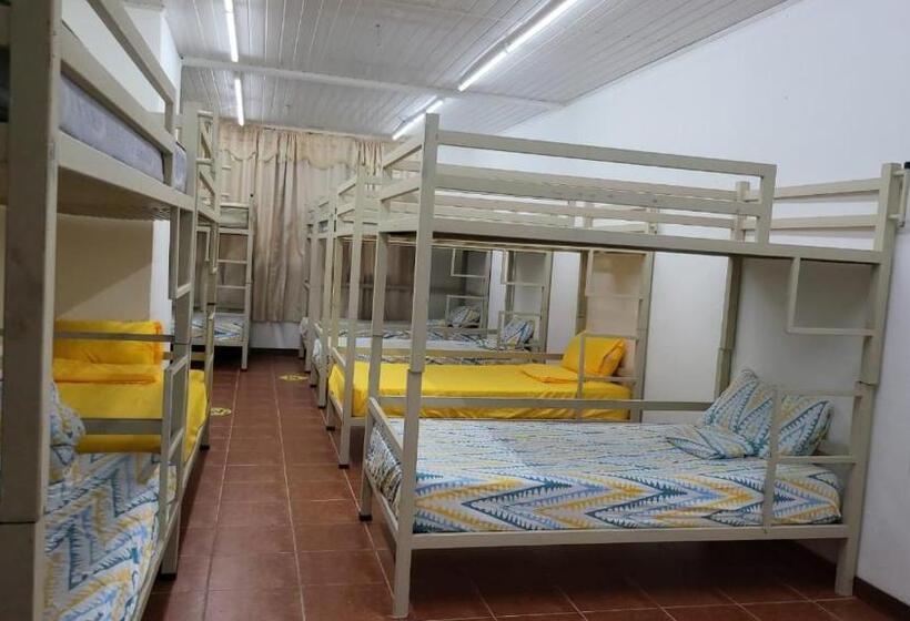 Hostel Manuel Antonio Park Jungle